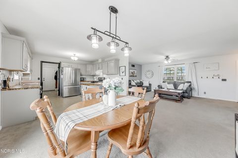 Tiny photo for 12706 County Road F, Wauseon, OH 43567 (MLS # 10007355)