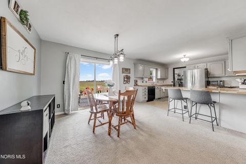 Tiny photo for 12706 County Road F, Wauseon, OH 43567 (MLS # 10007355)