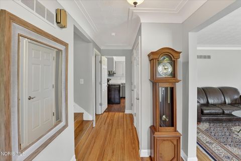 Tiny photo for 849 Water Street, Woodville, OH 43469 (MLS # 10007734)