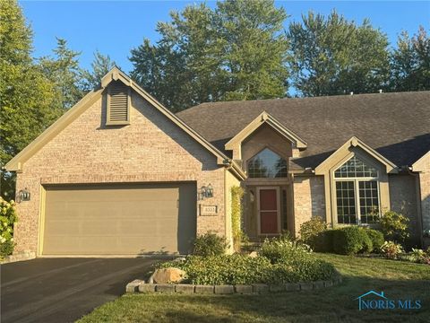 Photo of 8553 Stone Oak Drive, Holland, OH 43528 (MLS # 10004346)