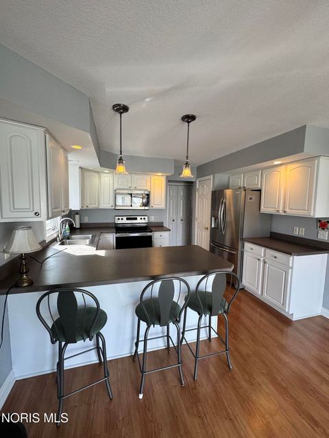 Tiny photo for 10126 S Shannon Hills Drive, Perrysburg, OH 43551 (MLS # 10005162)