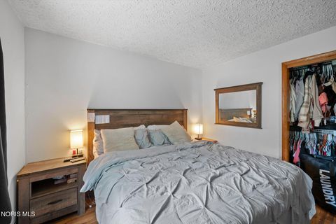 Tiny photo for 215 Reed Street, McClure, OH 43534 (MLS # 10007204)