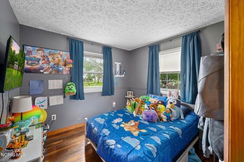 Tiny photo for 215 Reed Street, McClure, OH 43534 (MLS # 10007204)