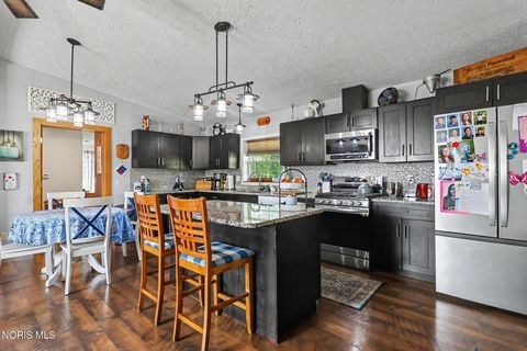 Tiny photo for 7951 Providence Neapolis Swanton Road, Neapolis, OH 43547 (MLS # 10007990)