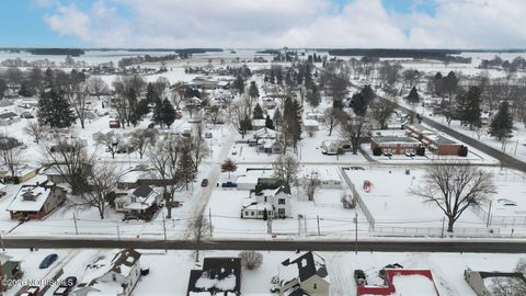 Tiny photo for 131 Meekison Street, Napoleon, OH 43545 (MLS # 10003953)