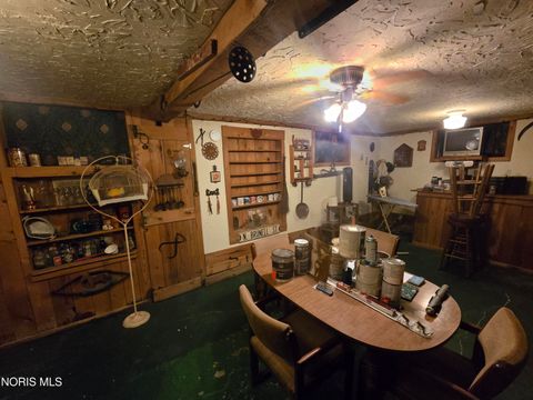 Tiny photo for 420 N Brunell Street, Wauseon, OH 43567 (MLS # 10007081)