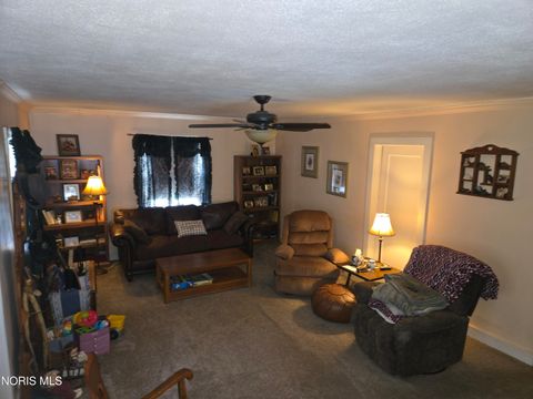 Tiny photo for 420 N Brunell Street, Wauseon, OH 43567 (MLS # 10007081)