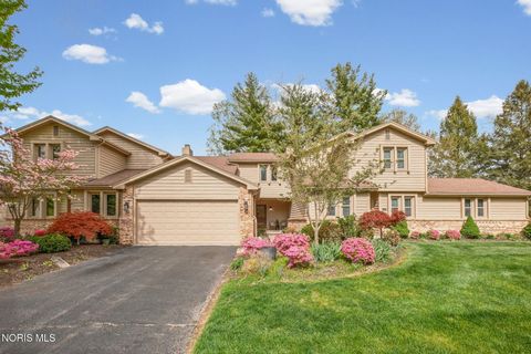 Photo of 4246 Vicksburg Drive, Sylvania, OH 43560 (MLS # 10007118)