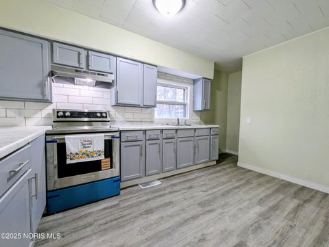 Tiny photo for 206 S Elm Street, Pioneer, OH 43554 (MLS # 10001644)