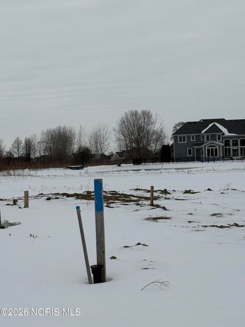 Photo of 9248 Summer Song Lane, Sylvania, OH 43560 (MLS # 10003922)