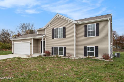 Photo of 323 Crabtree Lane, Delta, OH 43515 (MLS # 10007590)