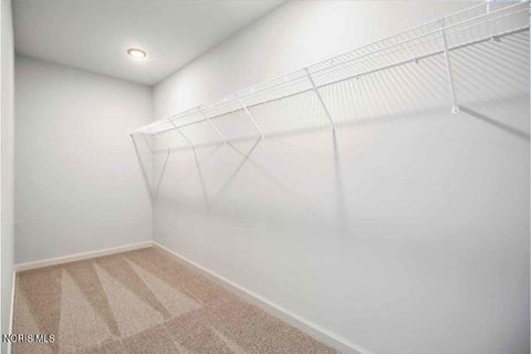 Tiny photo for 323 Crabtree Lane, Delta, OH 43515 (MLS # 10007590)