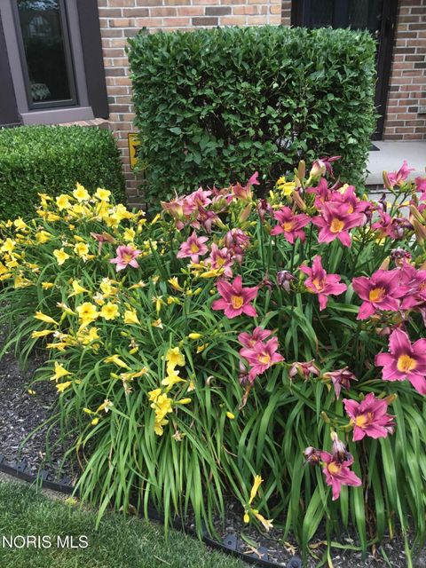 Tiny photo for 730 Ashbury Drive, Perrysburg, OH 43551 (MLS # 10006063)