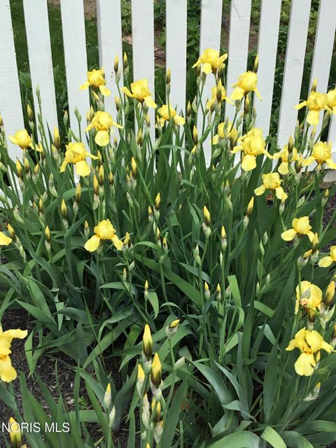 Tiny photo for 730 Ashbury Drive, Perrysburg, OH 43551 (MLS # 10006063)