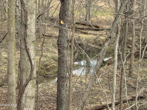 Tiny photo for 90191950 Road, West Unity, OH 43570 (MLS # 10005817)