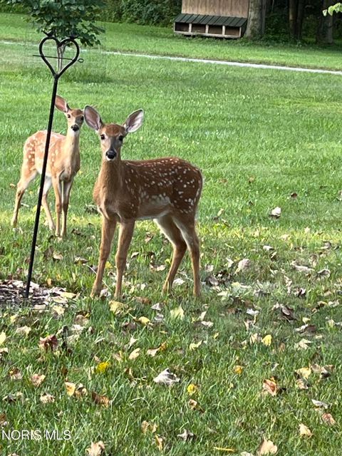 Tiny photo for 90191950 Road, West Unity, OH 43570 (MLS # 10005817)