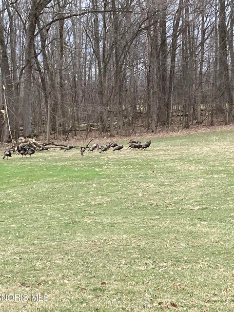 Tiny photo for 90191950 Road, West Unity, OH 43570 (MLS # 10005817)