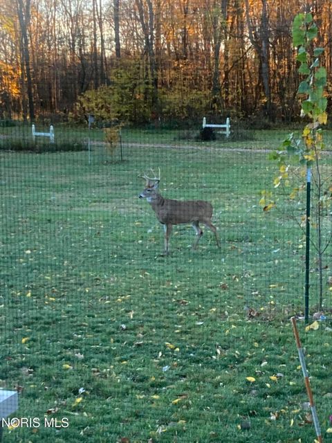 Tiny photo for 90191950 Road, West Unity, OH 43570 (MLS # 10005817)