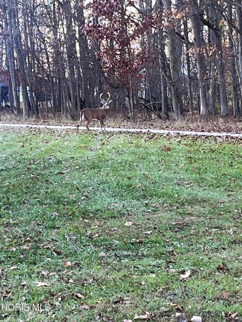 Tiny photo for 90191950 Road, West Unity, OH 43570 (MLS # 10005817)