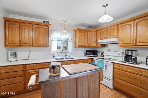 Tiny photo for 5910 N Berkey Southern Road, Berkey, OH 43504 (MLS # 10004708)