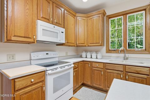 Tiny photo for 15940 Forest Lane, Findlay, OH 45840 (MLS # 10010245)