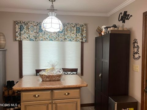 Tiny photo for 207 Illinois Drive, Bryan, OH 43506 (MLS # 10010870)