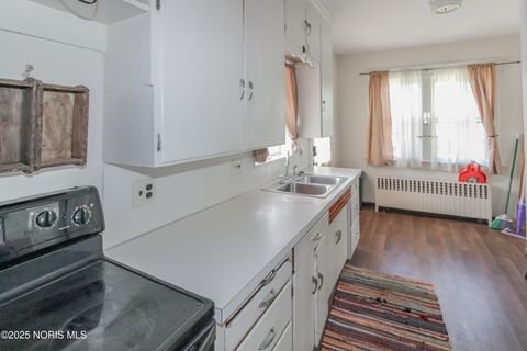 Tiny photo for 229 W 4th Street, Port Clinton, OH 43452 (MLS # 10000248)