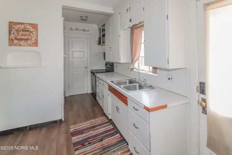 Tiny photo for 229 W 4th Street, Port Clinton, OH 43452 (MLS # 10000248)