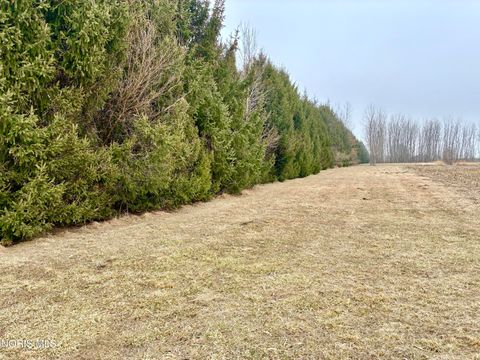 Tiny photo for 0 County Rd 2, Liberty Center, OH 43532 (MLS # 10004596)