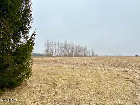 Tiny photo for 0 County Rd 2, Liberty Center, OH 43532 (MLS # 10004596)