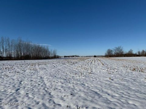 Photo of 0 County Rd 2, Liberty Center, OH 43532 (MLS # 10004596)