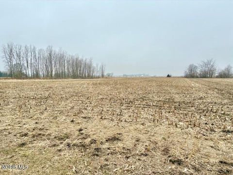 Tiny photo for 0 County Rd 2, Liberty Center, OH 43532 (MLS # 10004596)