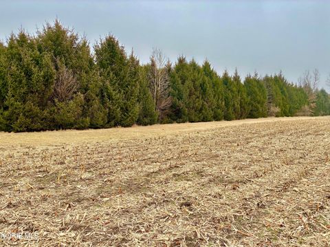 Tiny photo for 0 County Rd 2, Liberty Center, OH 43532 (MLS # 10004596)