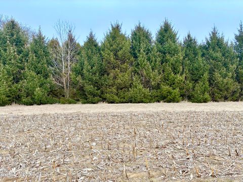 Tiny photo for 0 County Rd 2, Liberty Center, OH 43532 (MLS # 10004596)