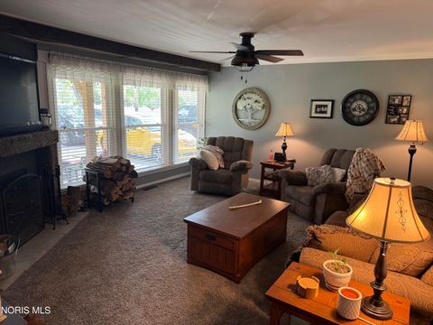 Tiny photo for 13888 County Road R, Napoleon, OH 43545 (MLS # 10007650)