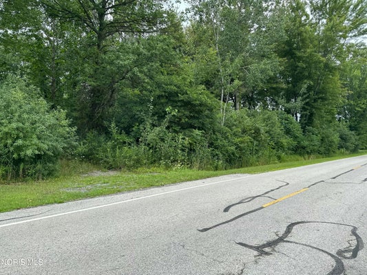 290 S EBER RD, SWANTON, OH 43558 - Image e6ecb28f79be9a7bd64f69e7ec08b80b/2193133063