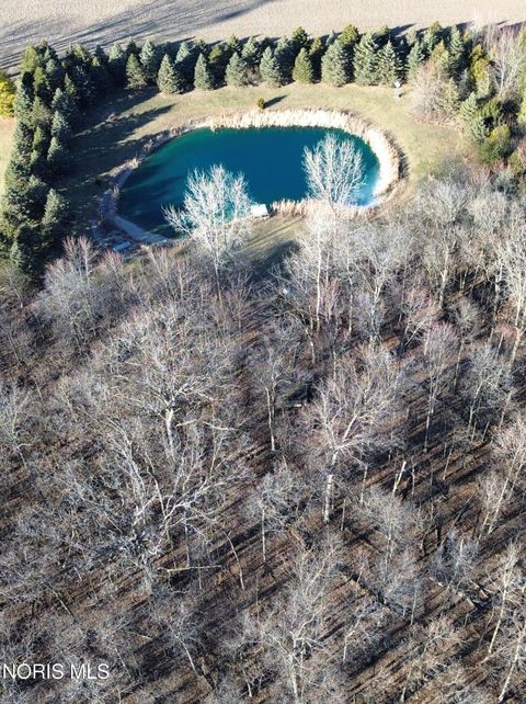 Tiny photo for 17576 County Road J, Napoleon, OH 43545 (MLS # 10004584)