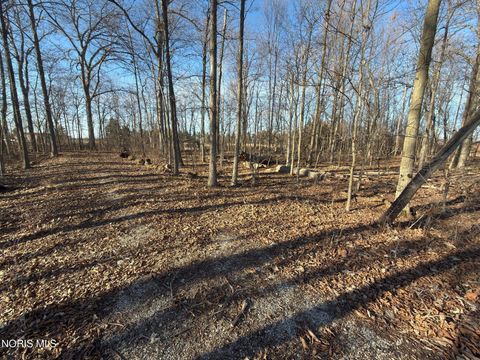 Tiny photo for 17576 County Road J, Napoleon, OH 43545 (MLS # 10004584)