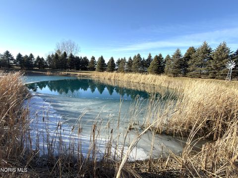 Tiny photo for 17576 County Road J, Napoleon, OH 43545 (MLS # 10004584)