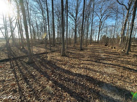 Tiny photo for 17576 County Road J, Napoleon, OH 43545 (MLS # 10004584)