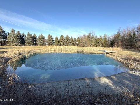 Tiny photo for 17576 County Road J, Napoleon, OH 43545 (MLS # 10004584)