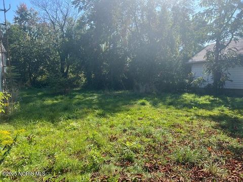 Tiny photo for 1016 E Central Avenue, Toledo, OH 43608 (MLS # 10000682)