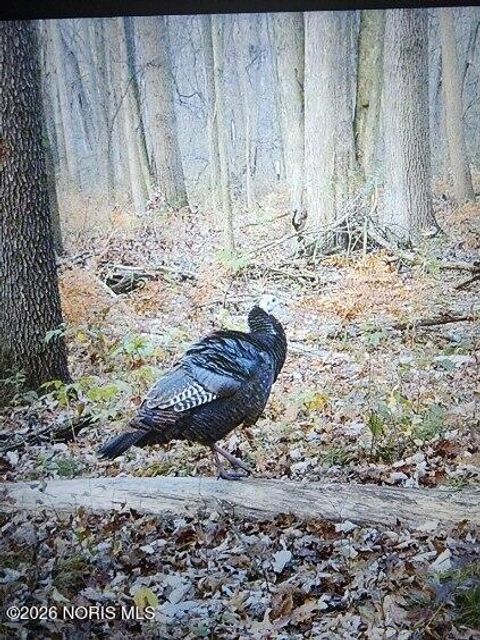 Tiny photo for 4660 S Berkey Southern Road, Swanton, OH 43558 (MLS # 10003748)