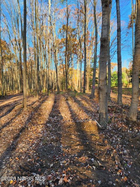 Photo of 6640 S Berkey Southern Road, Swanton, OH 43558 (MLS # 10003748)