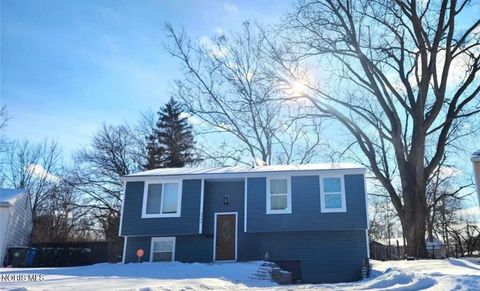 Photo of 4259 Wickford Point Drive, Toledo, OH 43607 (MLS # 10006479)