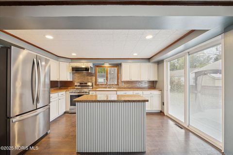 Tiny photo for 733 Conneaut Avenue, Bowling Green, OH 43402 (MLS # 10000396)