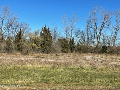 Tiny photo for Baltimore Street, Defiance, OH 43512 (MLS # 10007254)