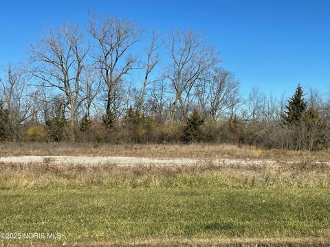 Tiny photo for Baltimore Street, Defiance, OH 43512 (MLS # 10007254)