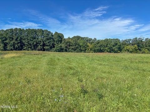 Tiny photo for 0 Evansport Road, Defiance, OH 43512 (MLS # 10013552)