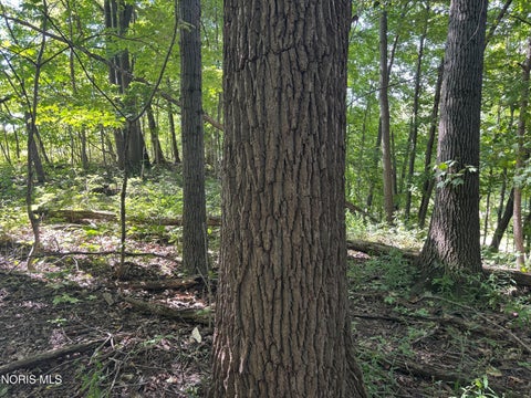 Tiny photo for 0 Evansport Road, Defiance, OH 43512 (MLS # 10013552)